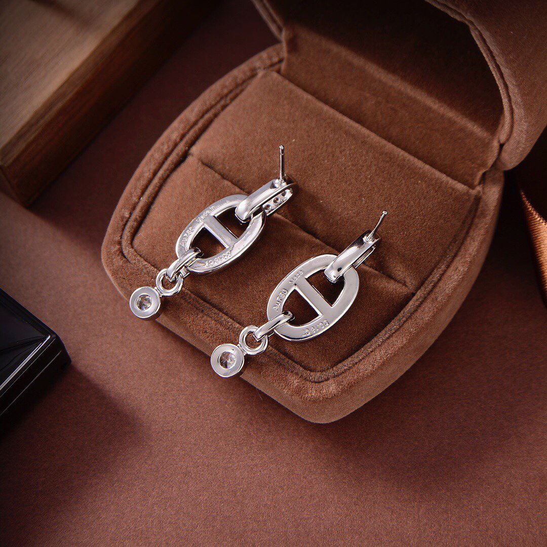 [RAFFINE]HM CHAINE DIAMOND EARRINGS